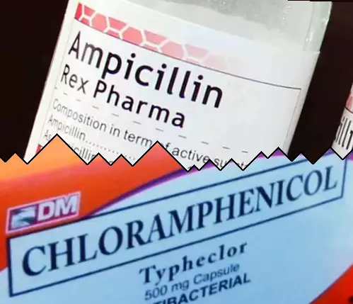 Ampicilina vs Cloranfenicol