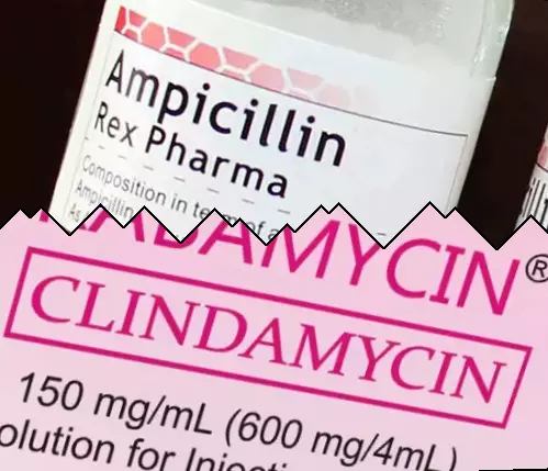 Ampicilina vs Clindamicina