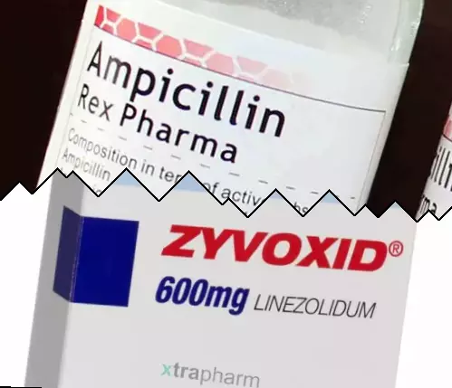 Ampicilina vs Zyvox