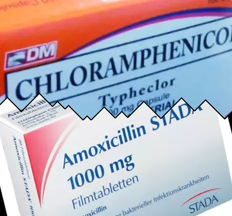 Cloranfenicol vs Amoxicilina