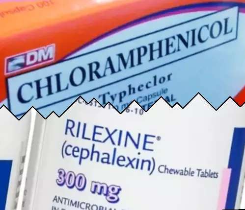 Cloranfenicol vs Cefalexina