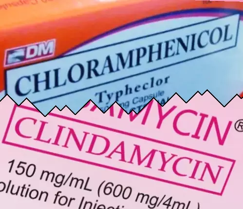 Cloranfenicol vs Clindamicina